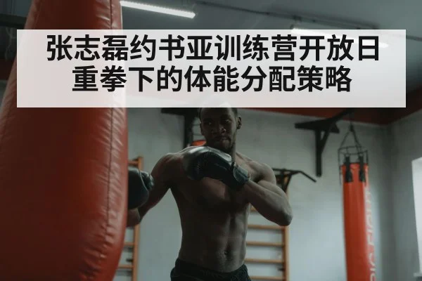 张志磊约书亚训练营开放日 重拳下的体能分配策略