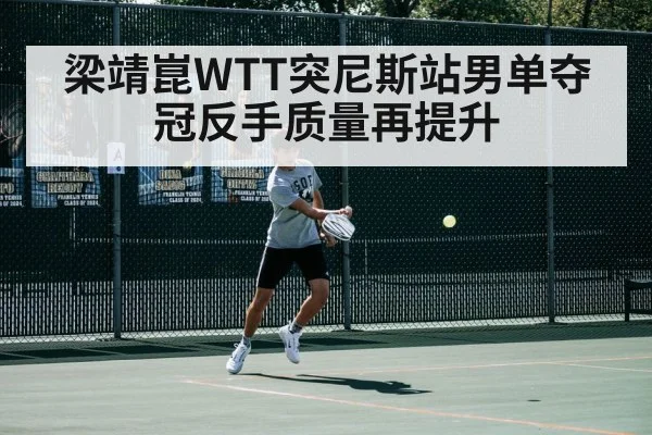 梁靖崑WTT突尼斯站男单夺冠反手质量再提升